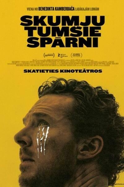 Thing with feathers poster